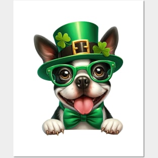 St Patricks Day Peeking Boston Terrier Dog Posters and Art